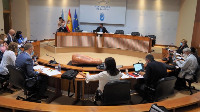 Acordos da Comisión 7ª, Agricultura, Alimentación, Gandaría e Montes, celebrada o 3 de setembro de 2021
